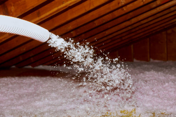 Best Insulation Removal  in Union Hill Novelty Hill, WA