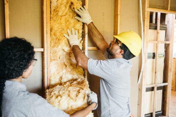 Best Best Insulation Companies  in Union Hill Novelty Hill, WA